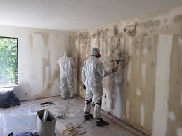 Best Comprehensive Air Testing for Mold Contaminants in USA